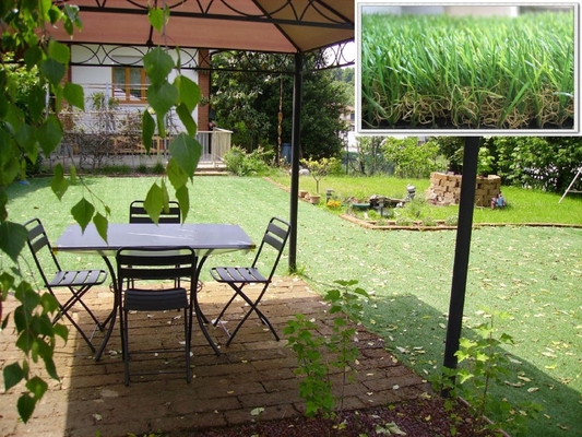 装飾的なカーペットの人工的な草 35mm の庭 DEQZT3512DF1 のための 11600Dtex 総合的な草