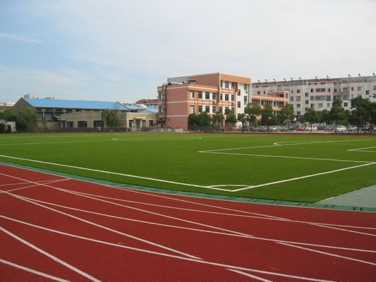 フットボール競技場のための 9000Dtex 人工的な草、紫外線抵抗力がある 25mm の赤の草